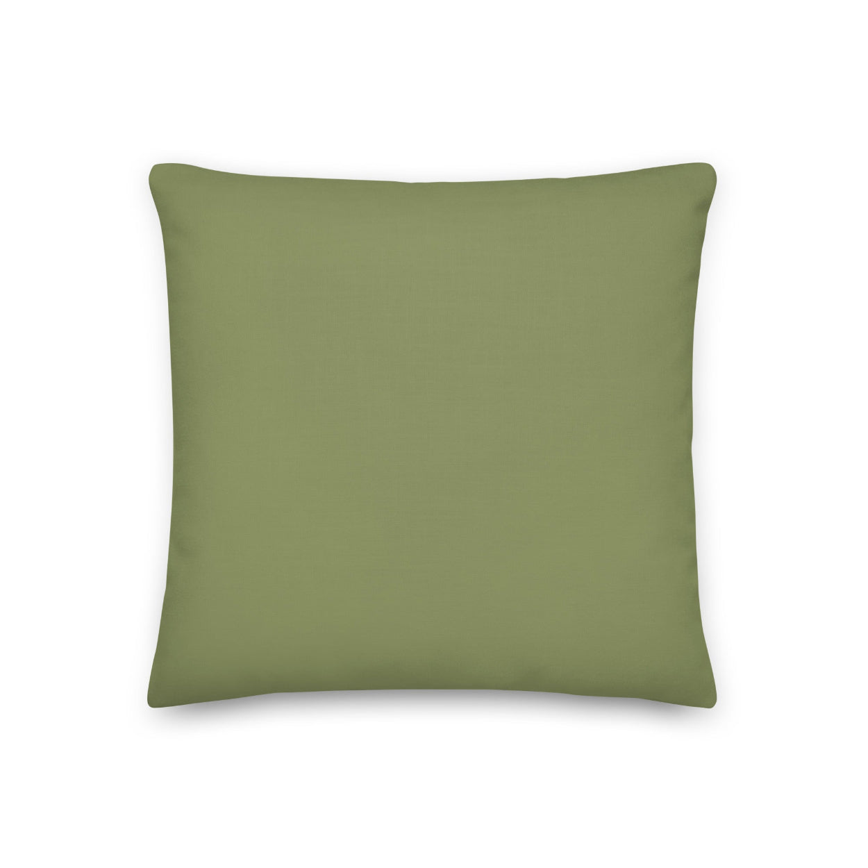The backside of the Asher pillow is a bright and cheery green color perfect for summer.
