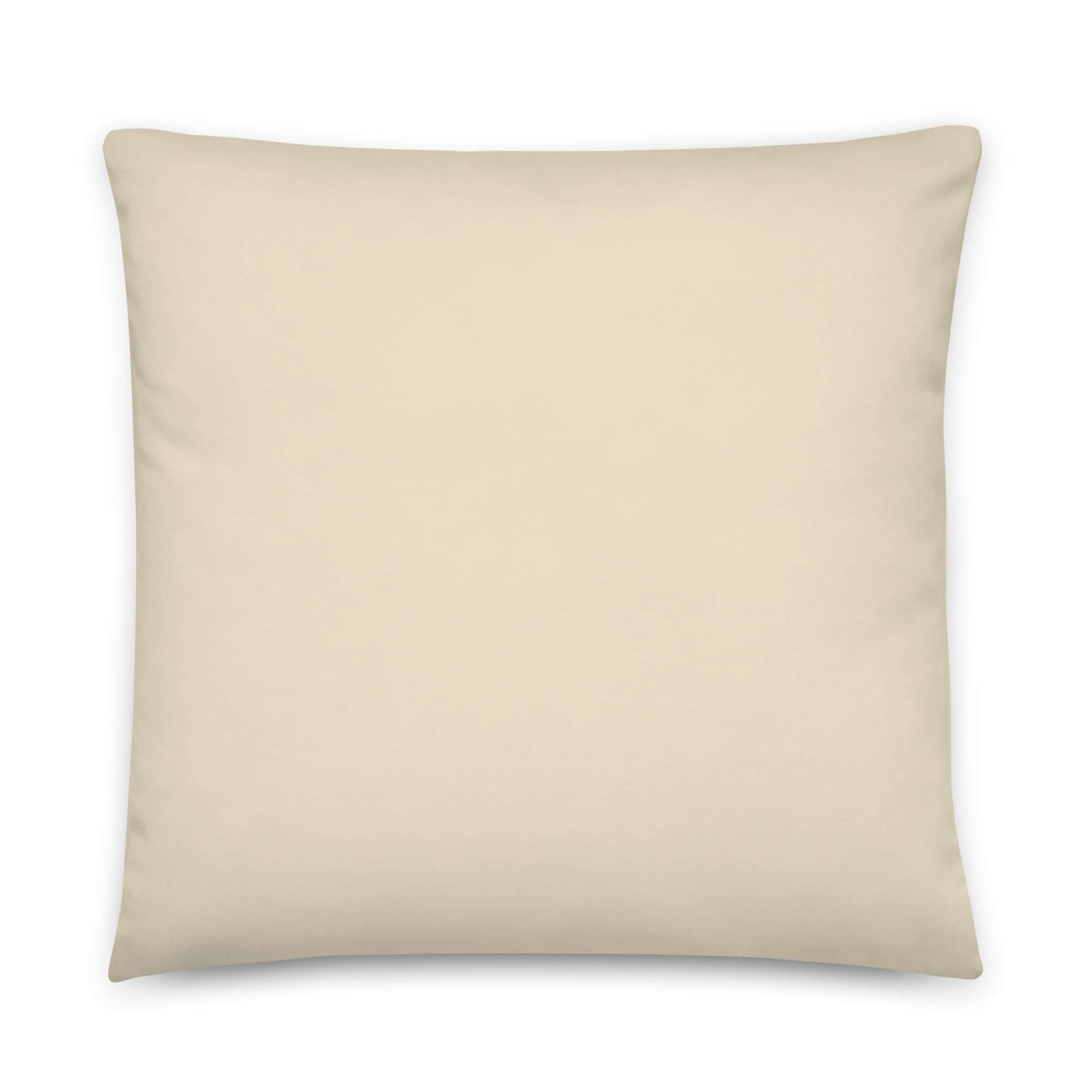 Reid Modern Boho Pillow