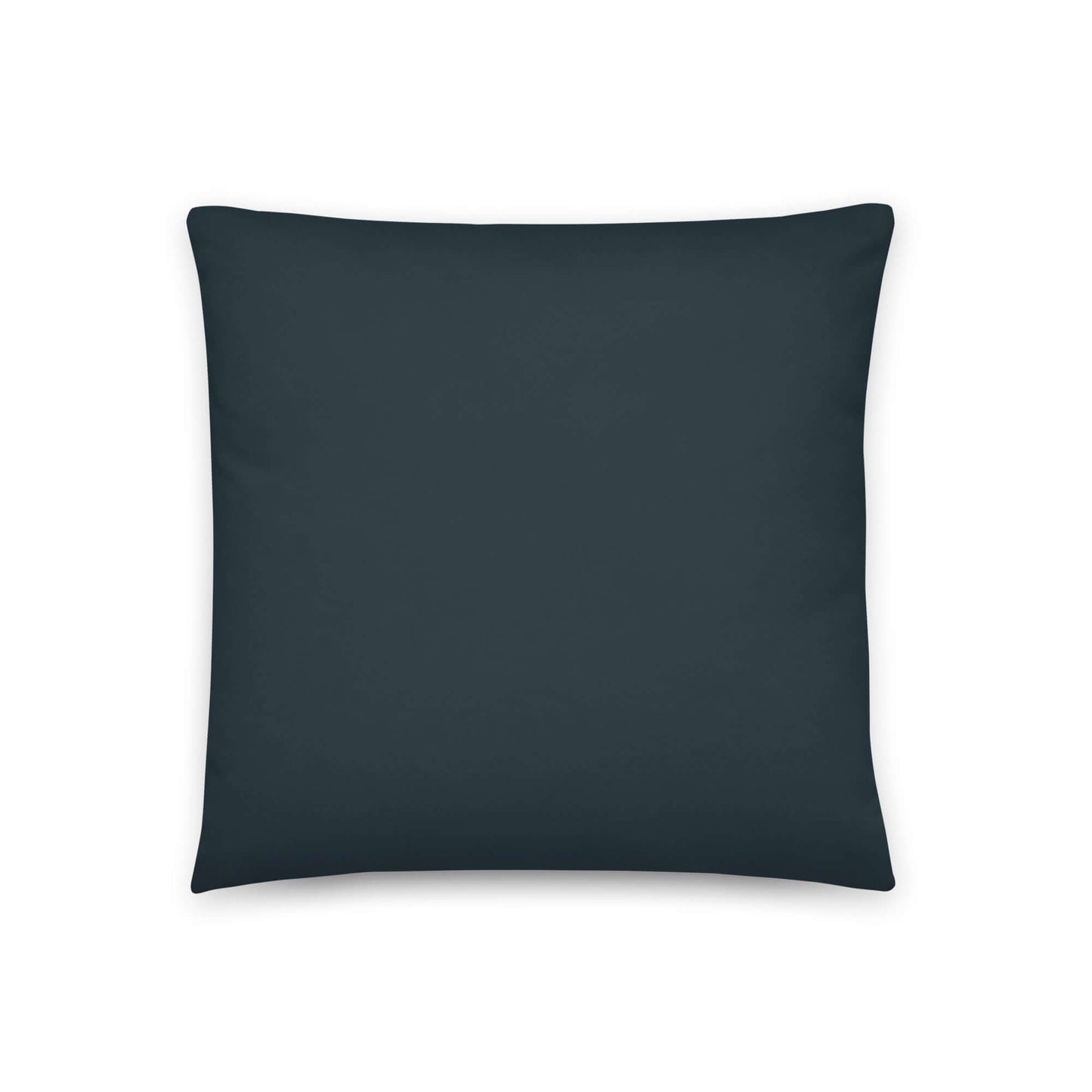 Product mockup of the reverse side of the Emma nautical fish patterned pillow.